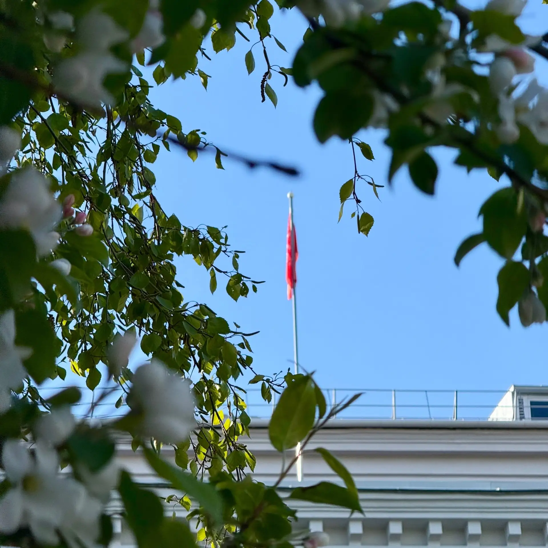☀️Доброе утро, #Университетбиотехнологий   Сегодня солнце сияет особенно ясно, погода радует потепле