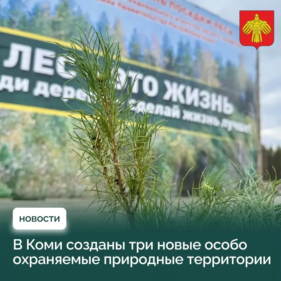 В Коми созданы три новые особо охраняемые природные территории.
