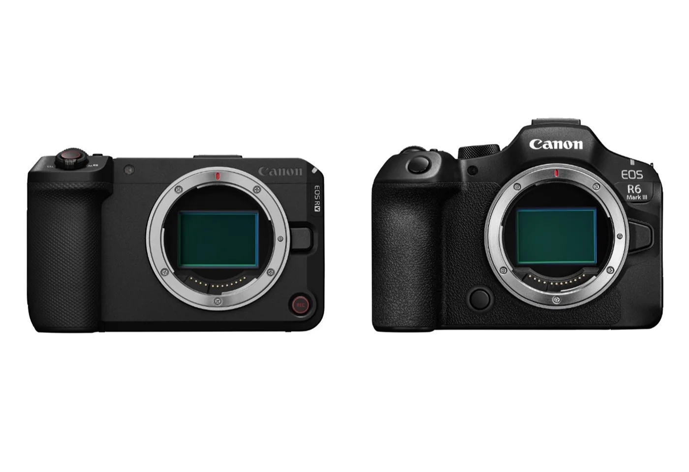 Canon выпустила обновление прошивки для камер EOS R6 Mark III и EOS R6 V. Главное изменение: на Cano