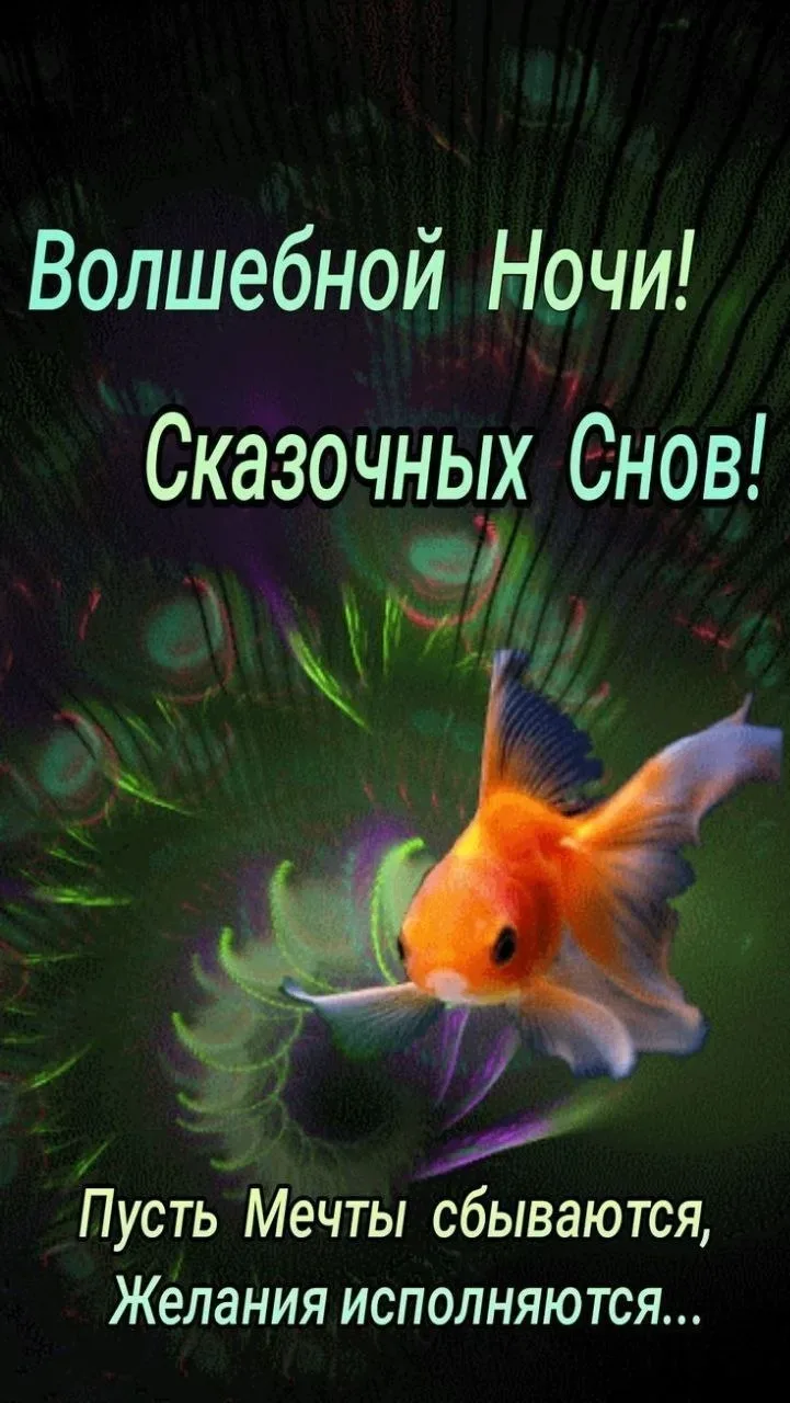 🥰Ставьте реакции и делитесь открыткой с близкими ❤️

💌Лучшие Открытки в MAX! 👉 Подписаться