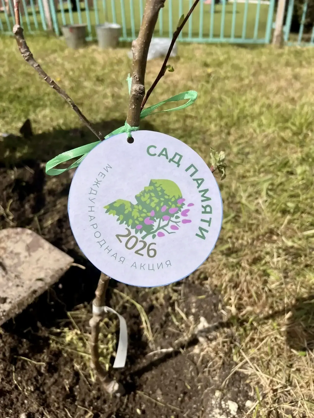 Акция «Сад памяти» в нашей школе!🌳  📌24 апреля МБОУ «Школа-гимназия, детский сад № 25» приняла участ