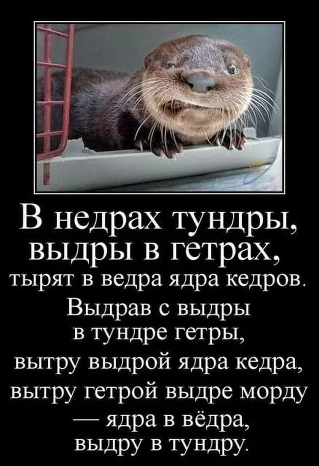 👀MAX С Юмором‼️