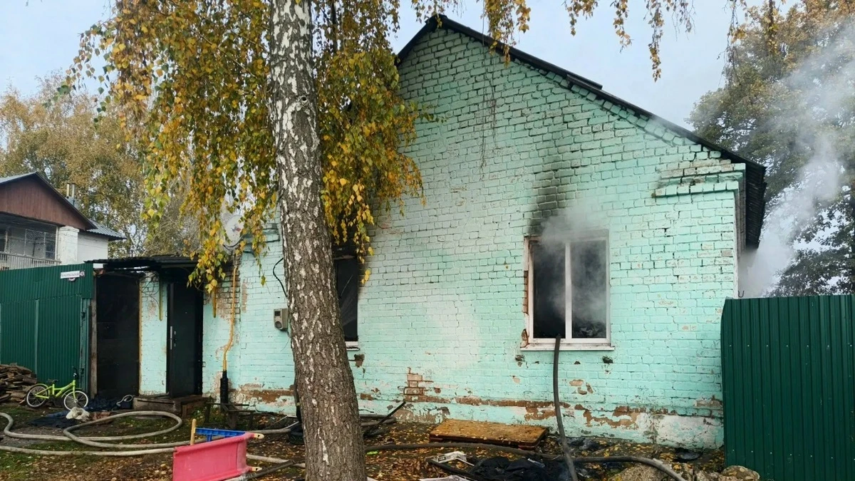 Пожилая женщина и ребенок погибли на пожаре в Скопине