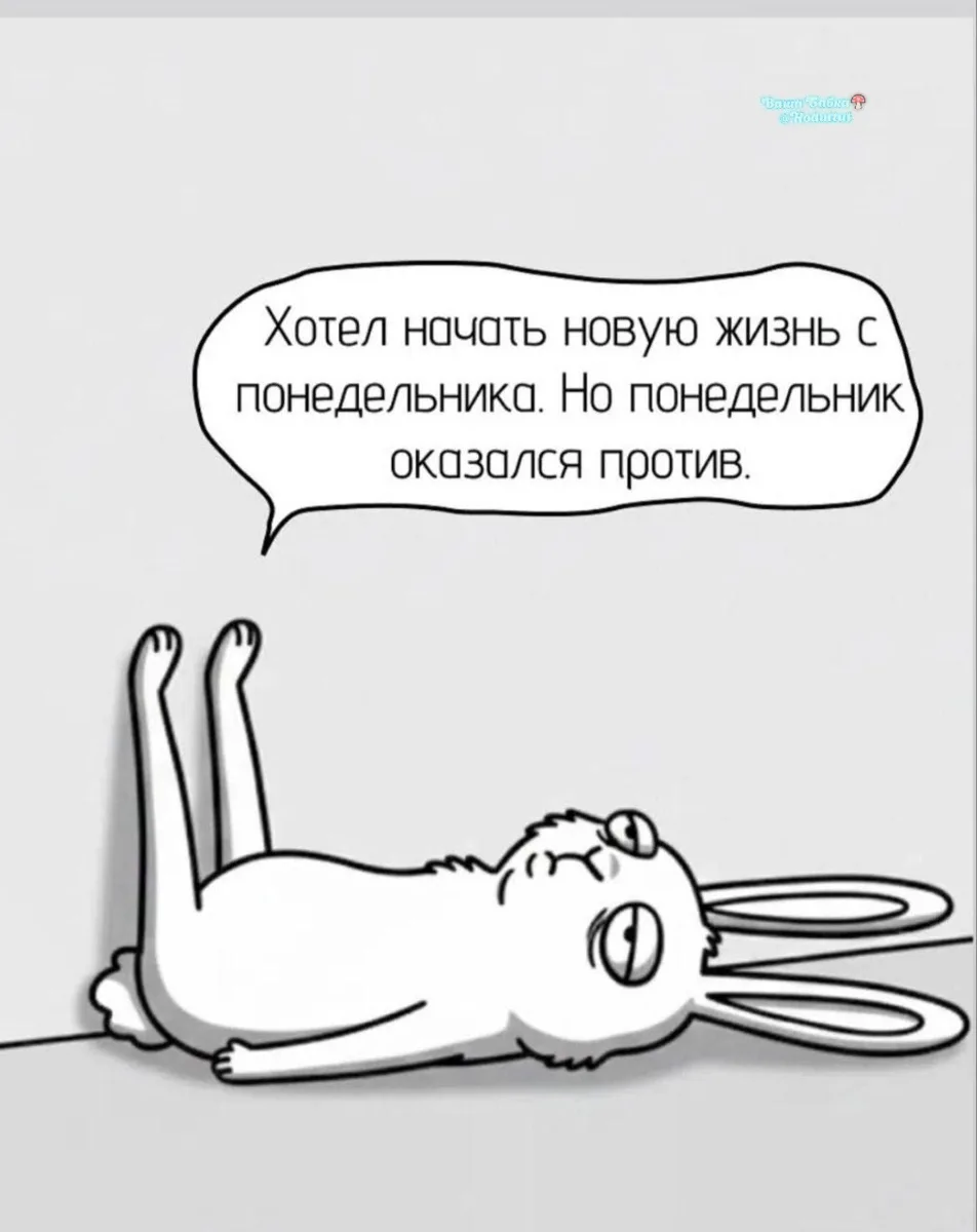 Какая такая новая жисть?! Старую б поддержать в понедельники эти😡☕