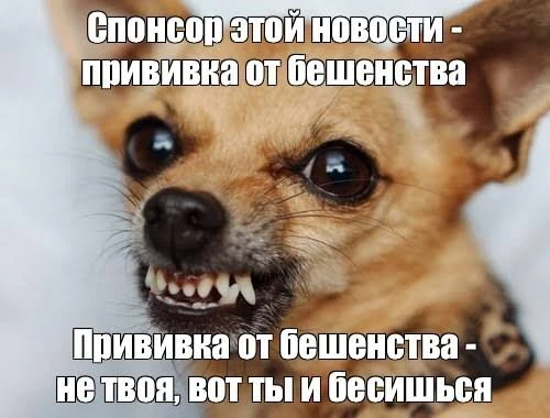 Парочка занимательных фактов о бешенстве

Если у вас появились симптомы бешенства - вы умрете. Я вов