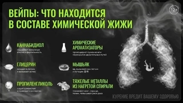 Бурнаковский | Московский район | Нижний Новгород🏡