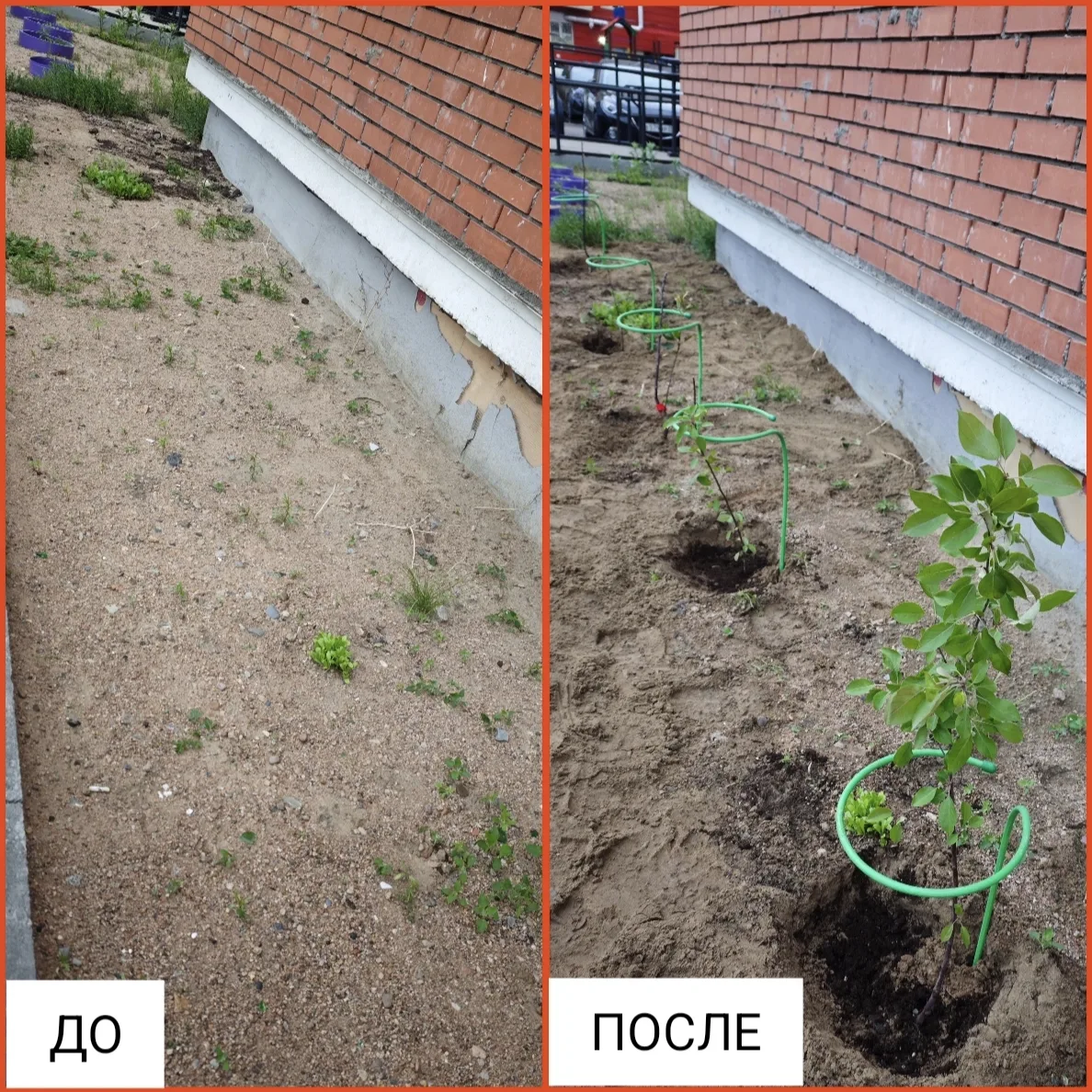 Высадили у дома пять сиренево-пурпурных яблонь. #Ключевская90Гкорпус2