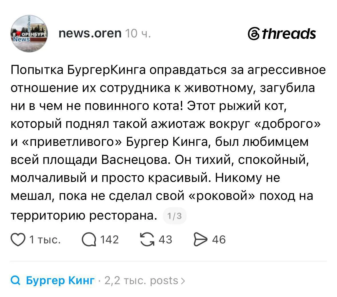«Бургер Кинг» продолжает утопать в хейте после истории с котом в одном из заведений.