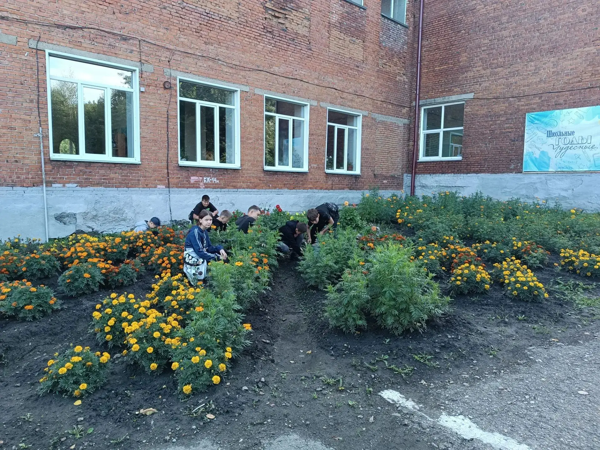 Наша цветущая школа: как мы заботимся о пришкольной клумбе летом.🌼

Уход за школьной клумбой летом 