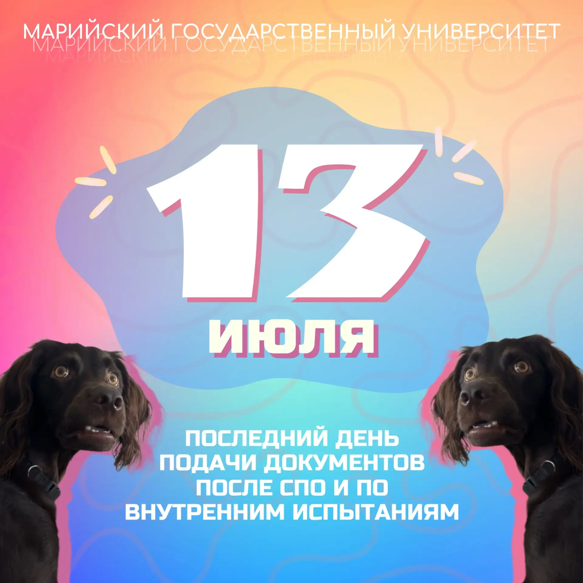 Изображение 1 к публикации «Марийский государственный университет | МарГУ»