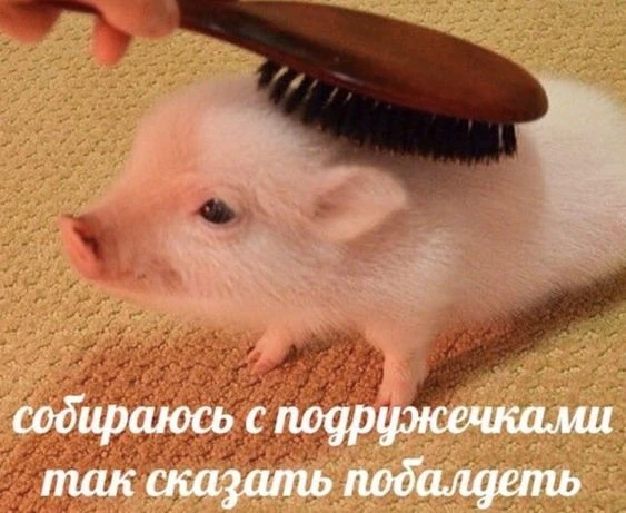СТРЕЛЕЦ, 22 июня. Встреться со старыми друзьями наконец-то

🛑Твои личные предсказания судьбы в наше