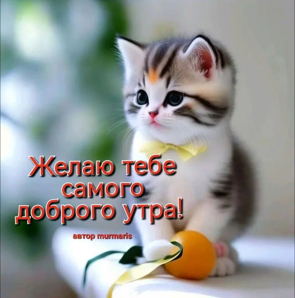 КРАСИВЫЕ ОТКРЫТКИ ТУТ💖