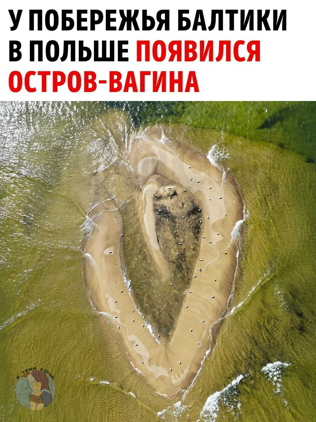 18+ от природы: Песчаная коса на Балтике взорвала соцсети своими очертаниями