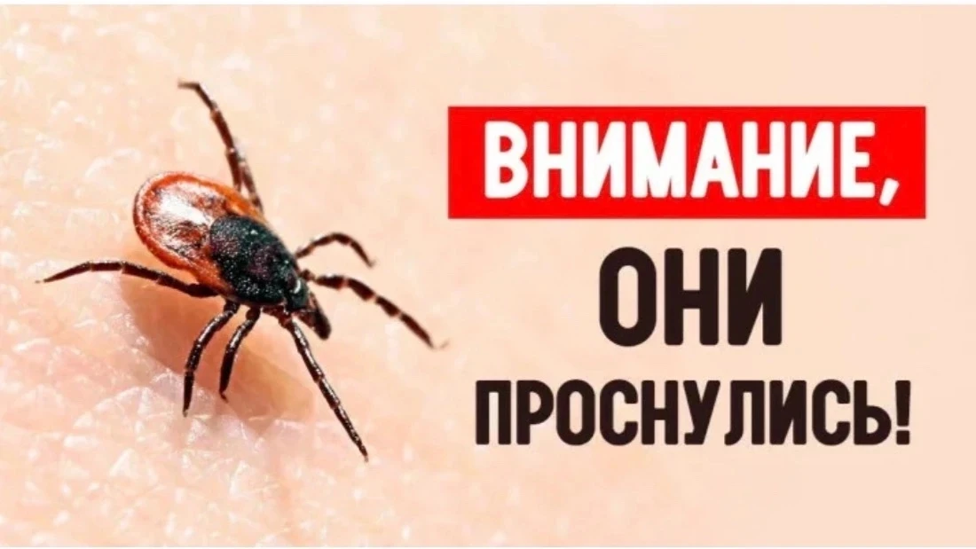 С 27.04.2026 по 10.05.2026 организована работа тематической «горячей линии» и консульта...