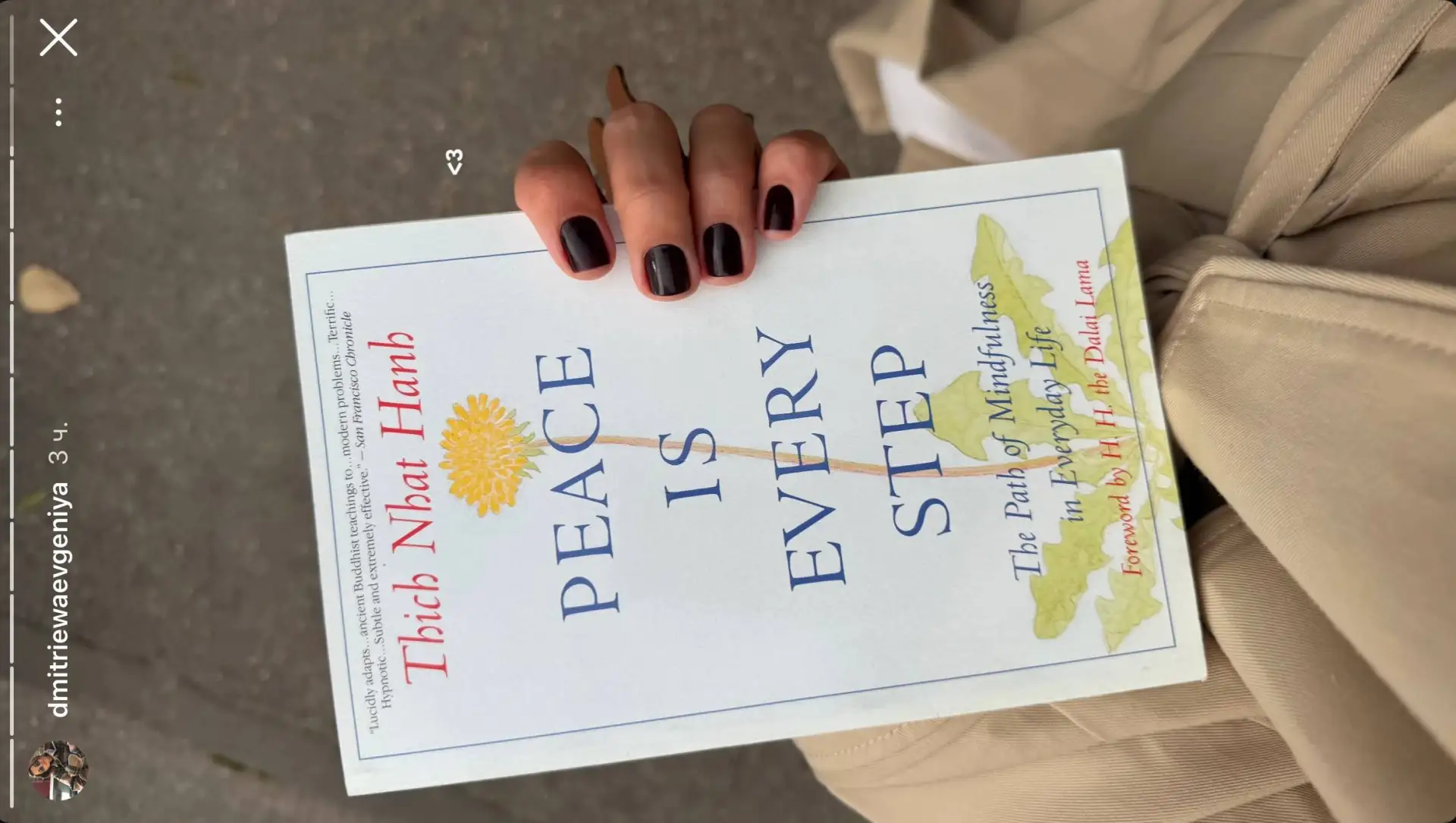 хотелка дня — прочитать книгу «Peace is every step» о пути