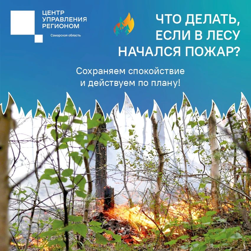 🔥 Счет на секунды: что делать, если вы заметили лесной пожар? 

Все пожары в лесу начинаются из-за 