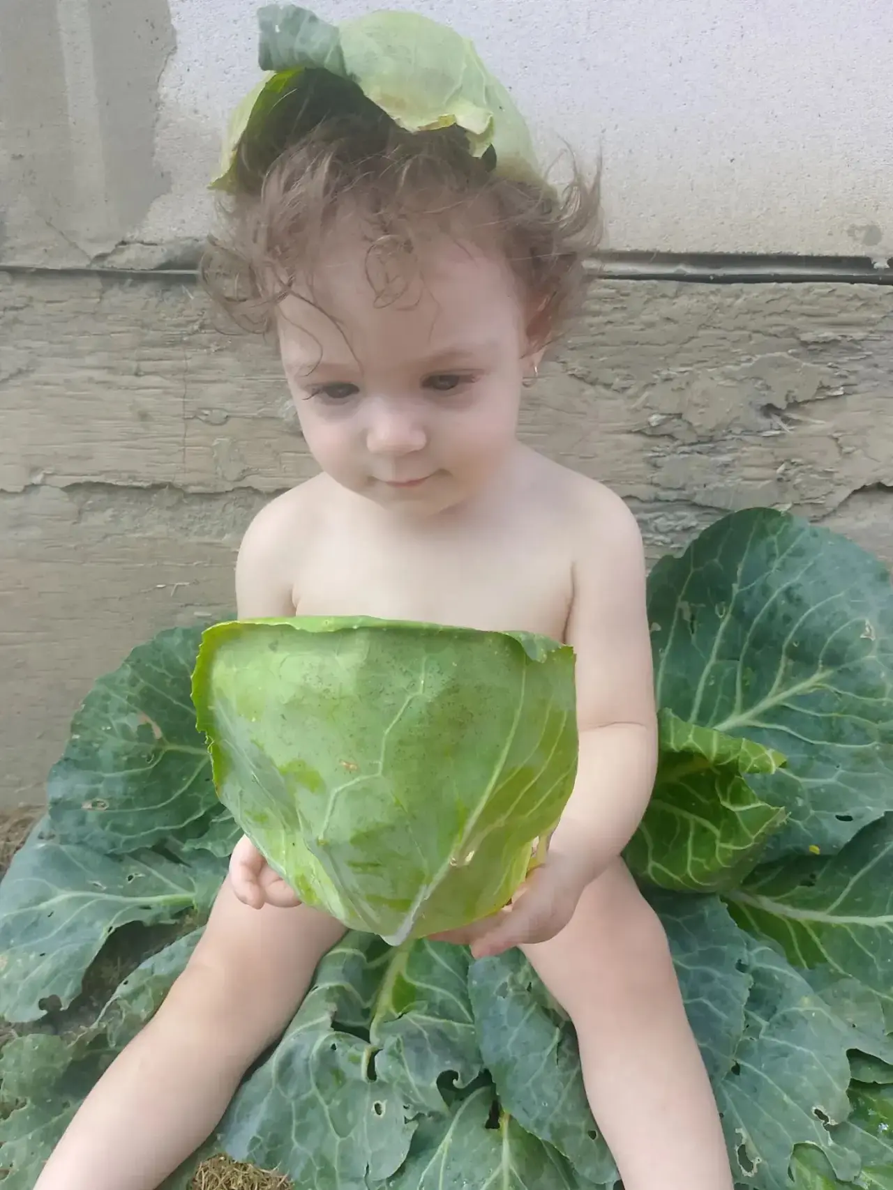 Конкурс «Вкус августа и сентября!»