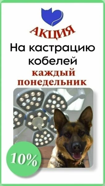 Запись на приём и консультации — по телефону +7 951 416 11 93 или запись онлайн: widget...