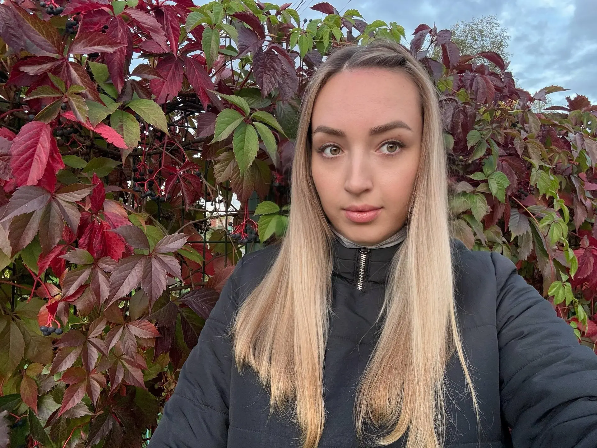 Краски осени 🍁🤩