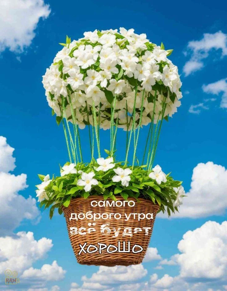 Доброе утро, уважаемые читатели! Желаю хорошего настроения на всю рабочую неделю! ❤️