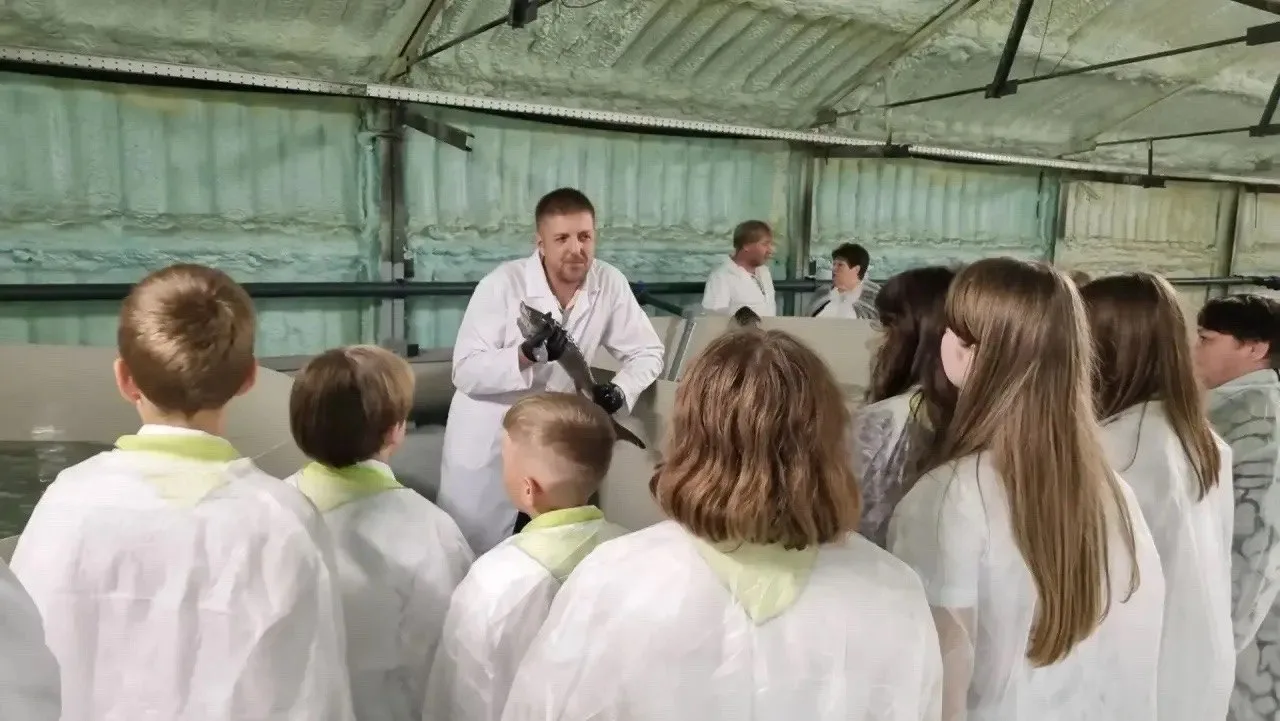 В Кузбассе начали выращивать осетра: первая рыба появится в магазинах в 2027 году