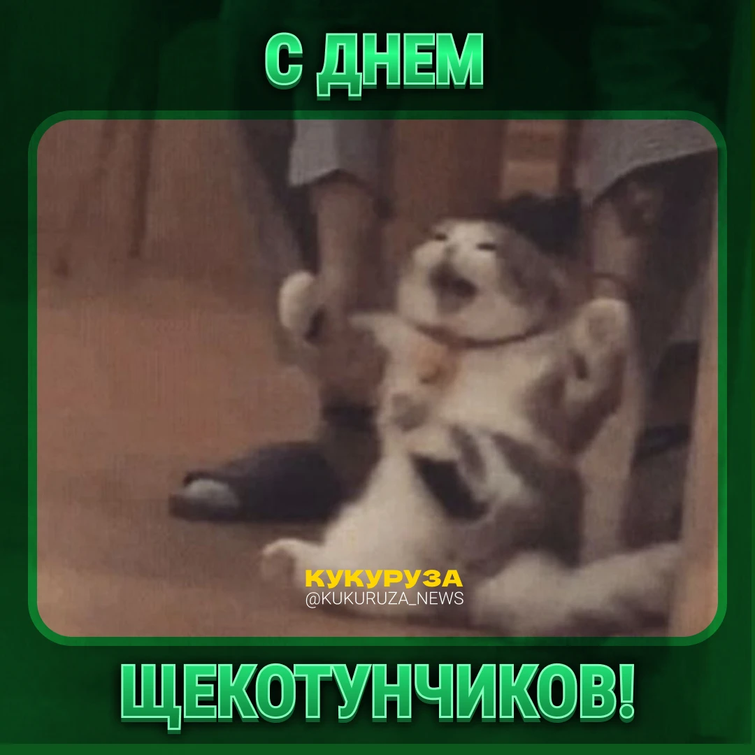 Сегодня отмечают день щекотунчиков 😃 Да, есть и такой!