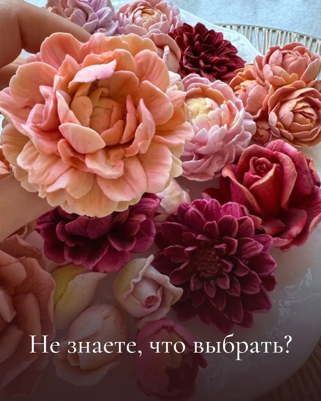 Друзья,
