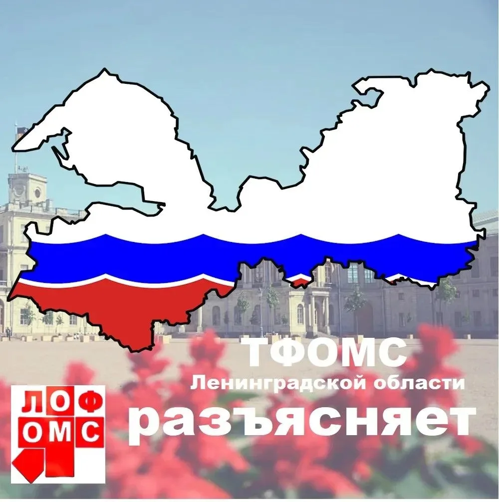 Что делать, если в полисе ОМС обнаружили ошибку?
