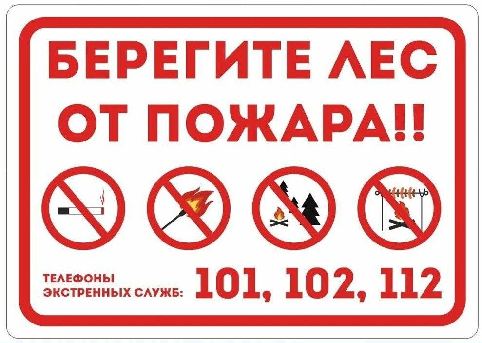 Лес — это не просто красивое место для прогулок и отдыха, это сложная экосистема, котор...