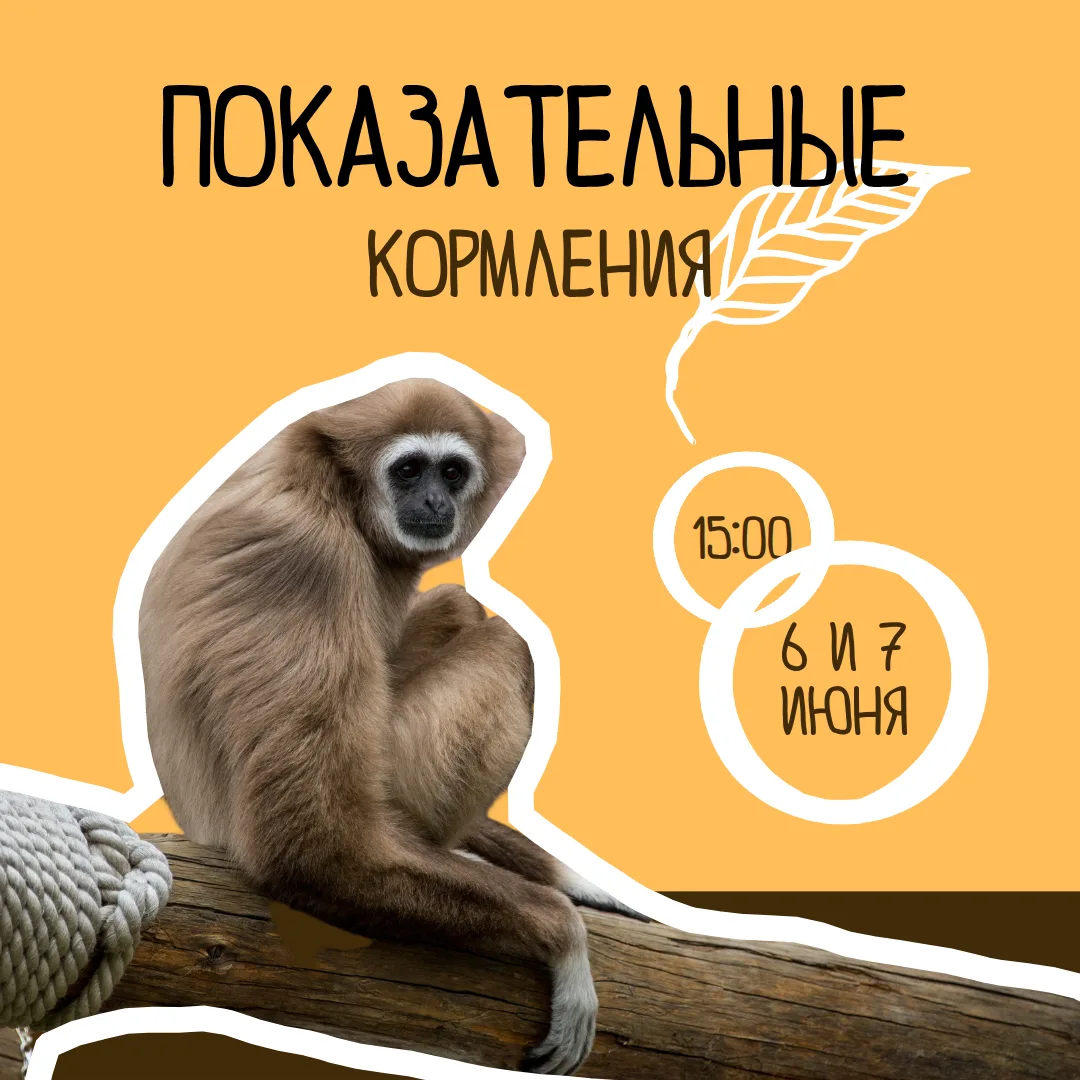 🍴 Как быстро пролетела неделя. А это значит, что показательные кормления в нашем зоопа...