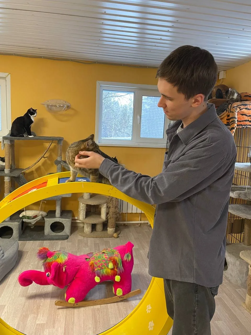 🐈 В рамках благотворительной акции «Мой кот» ДСА и жилищной политики и МКУ «КСиА Пуров...