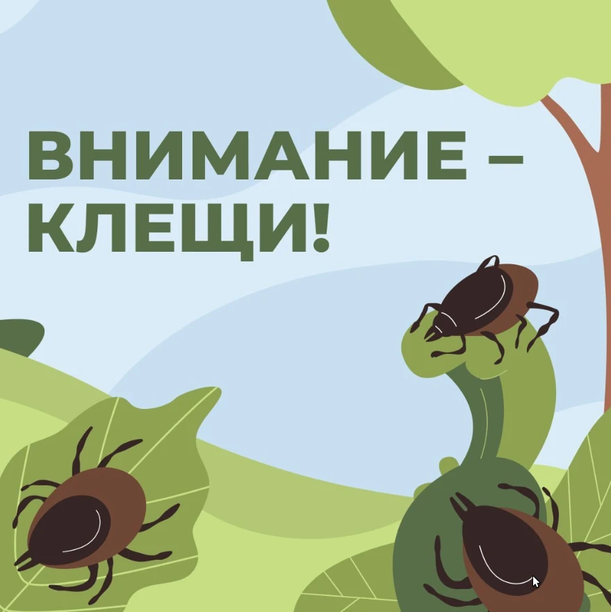 В тёплый период года  всё больше детей проводят время на улице – в парках, на даче, в лесу. Но именн