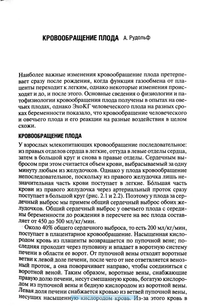 Кровообращение плода