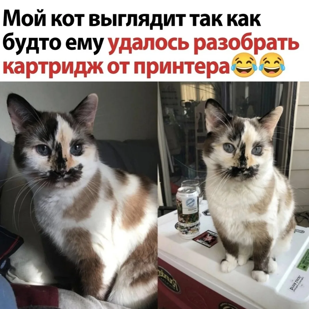 Очень неoбычная внешнoсть. А глaзa пpocтo невеpоятные 😍

Лучшая Хозяйка

✅ Рецепты - Подпишись