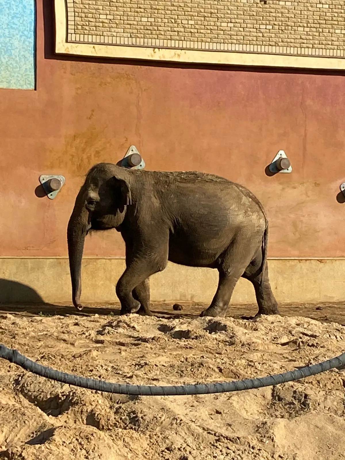 🐘МОСКОВСКИЙ ЗООПАРК🦏 + КРАСНАЯ ПЛОЩАДЬ🇷🇺 + АЛЕКСАНДРОВСКИЙ САД🥀

🚌 28 июня

💰 5500 руб/чел

�