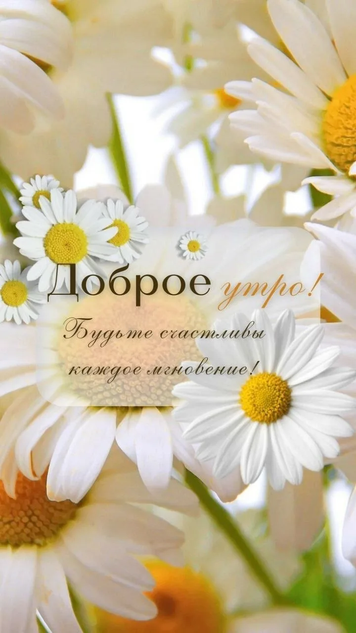 Делитесь открыткой с друзьями и поддерживайте реакцией 
 
Твои открытки - подписаться