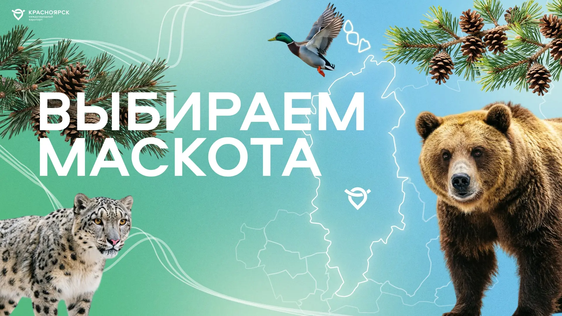 Выбираем маскота для аэропорта Красноярск вместе!