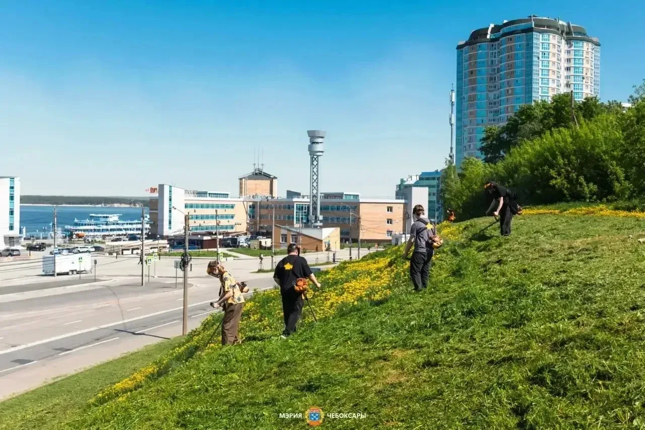 На общегородской планерке в администрации города обсудили регулярный покос травы в Чебоксарах  Свеже