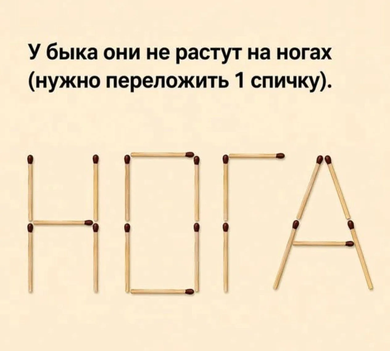 Ваши варианты 👇