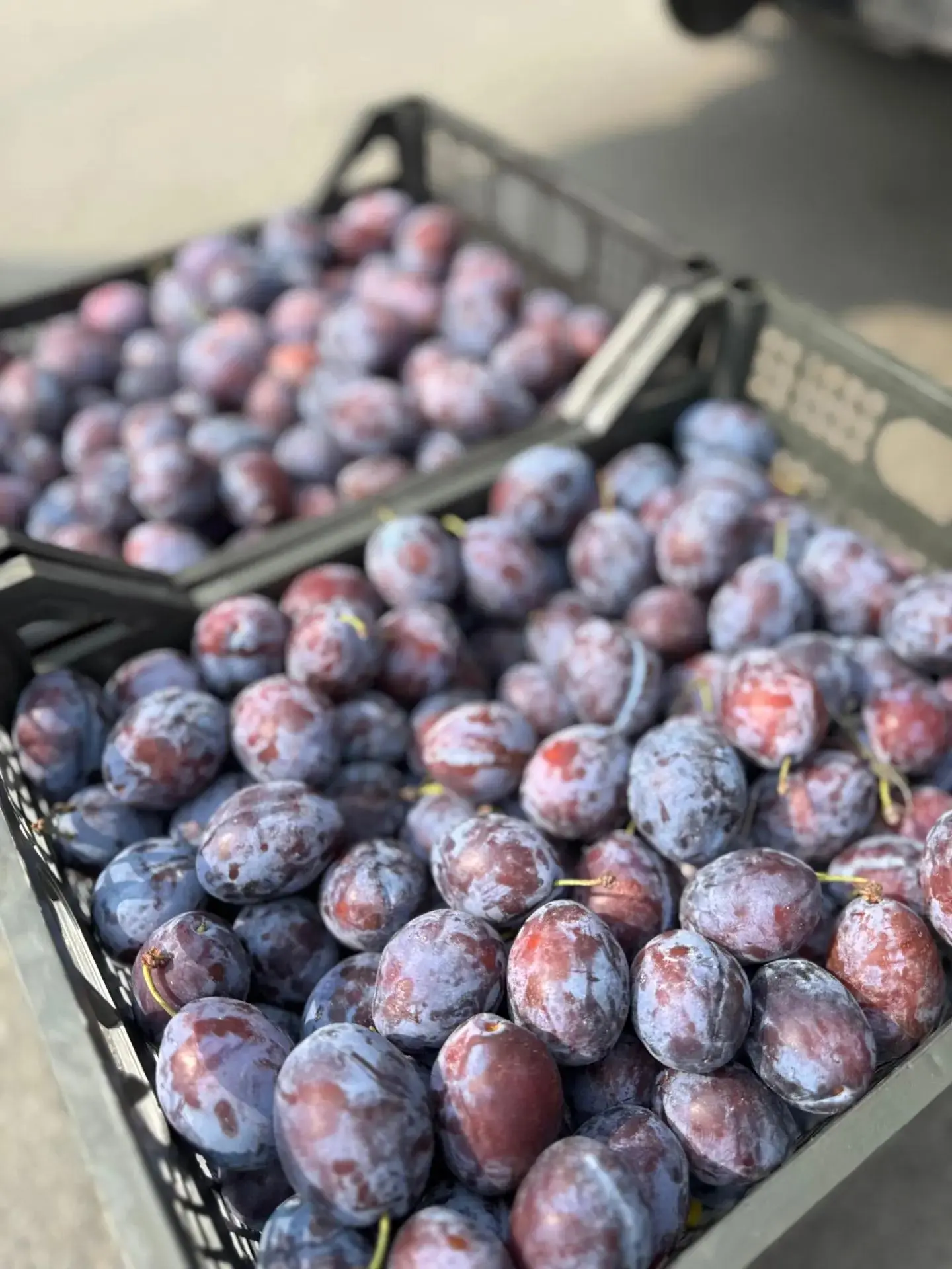 Поступление ягод от Lot_berry