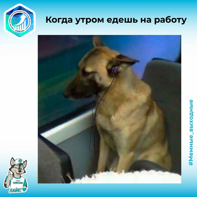 🌚 Делитесь вашими любимыми мемами, смешными картинками и видео в комментариях!