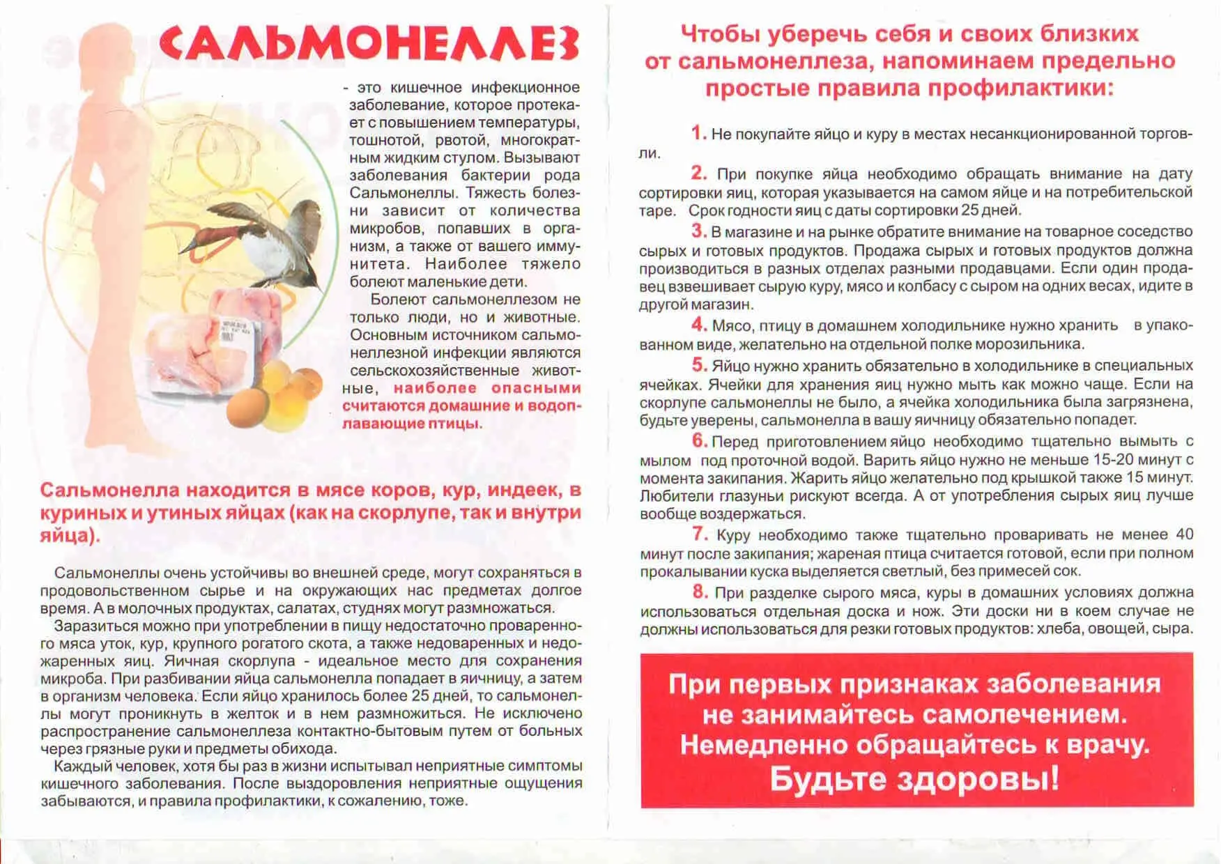 Профилактика сальмонеллёза!