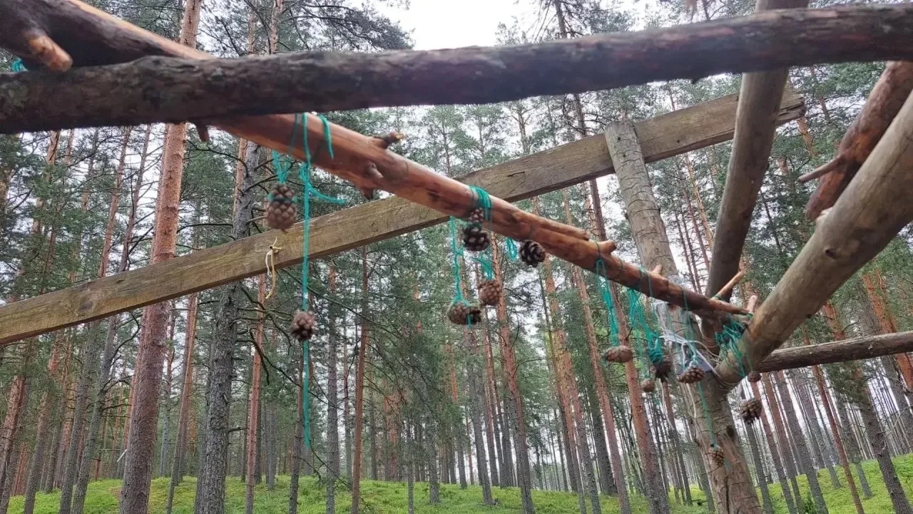 Валдай - место, куда хочется возвращаться❤️
Говорят, что у каждого путешествия есть свой ритм. Наш и