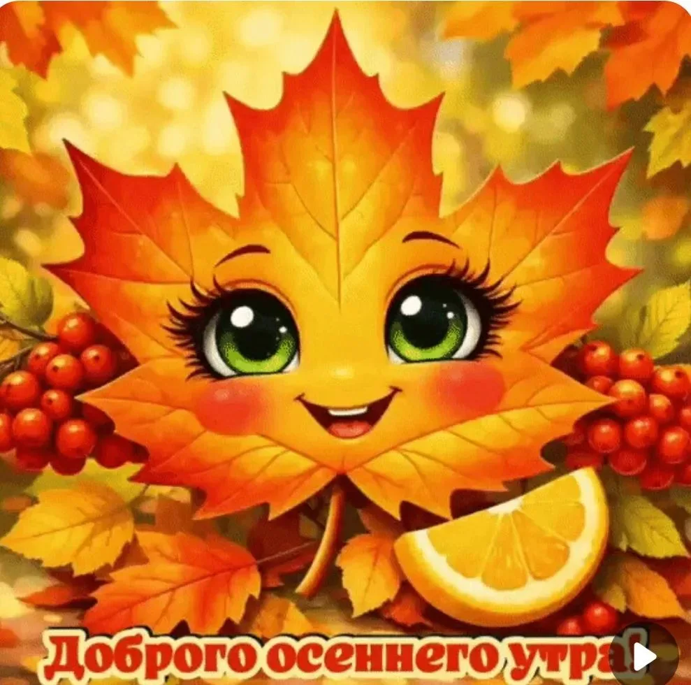Добрый день! Крепкий тыл!❤