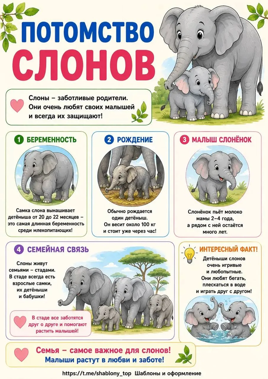 Изображение 3 к публикации «Шаблоны| Поделки| Образование»