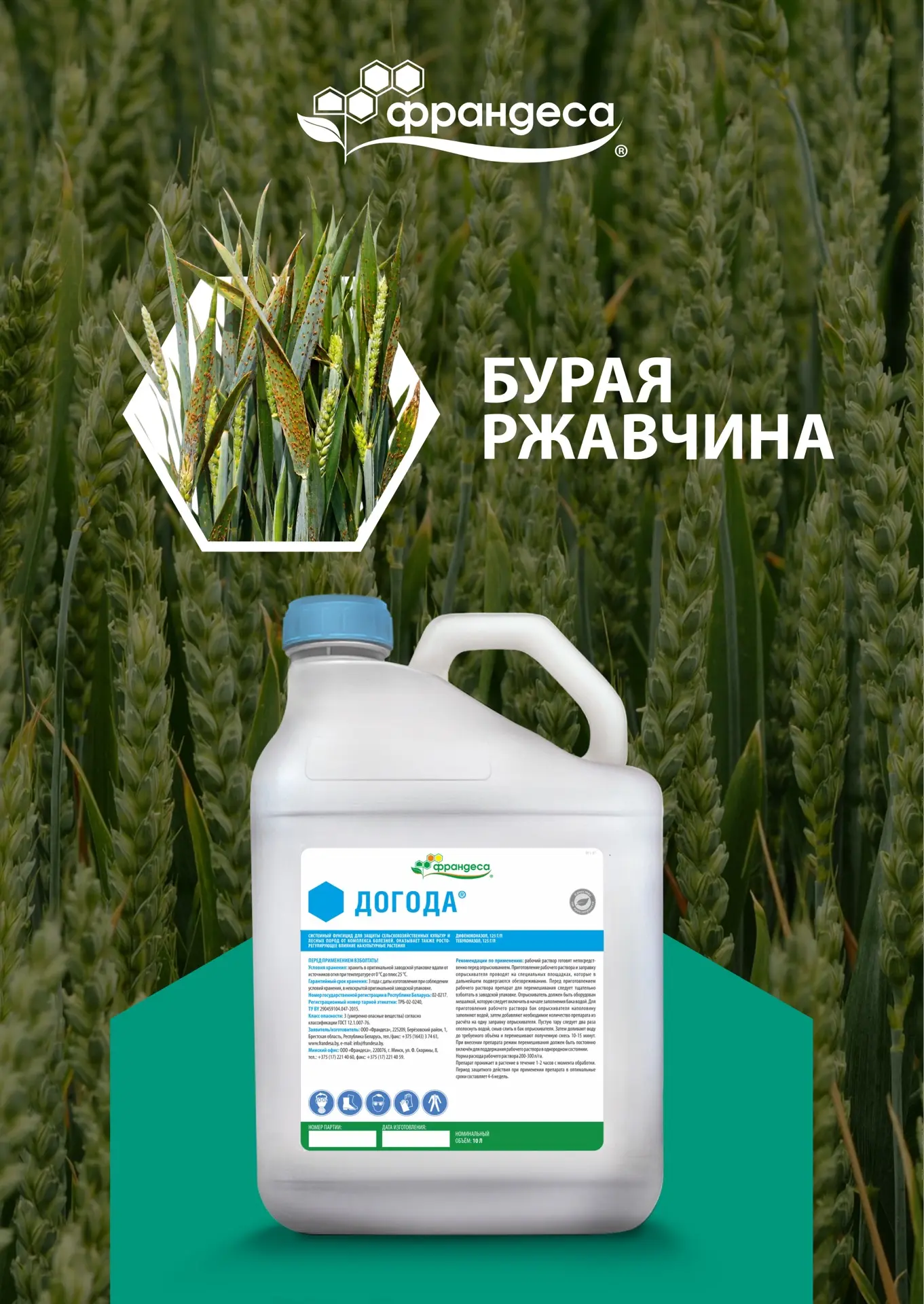 🌾 Бурая ржавчина озимой пшеницы: почему нельзя откладывать защиту?