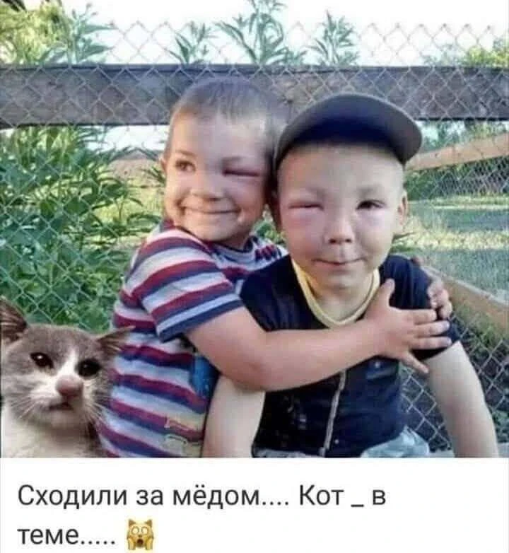 Блестящего дня!