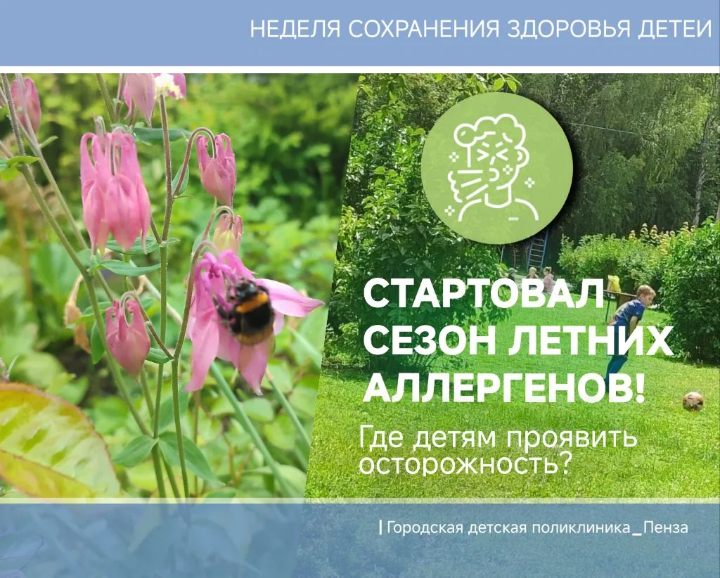 🐝💐🌱Стартует сезон летних аллергенов: в чем  детям  стоит  проявить осторожность, пер...