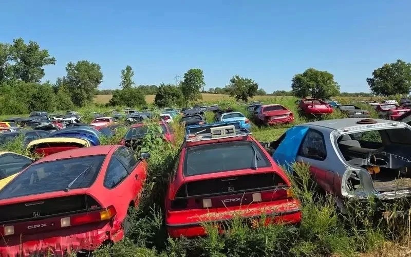 «Ферма CRX» в Канзасе: 275 старых Honda ждут своих покупателей