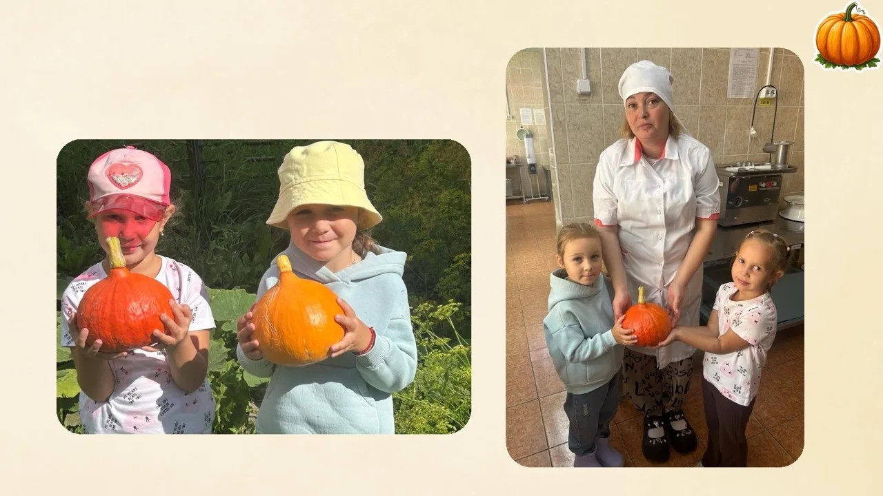 🎃✨В нашем детском саду «Солнышко» подошёл к концу удивительный проект«Тыкву сажаем – з...